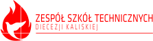Logo ZST